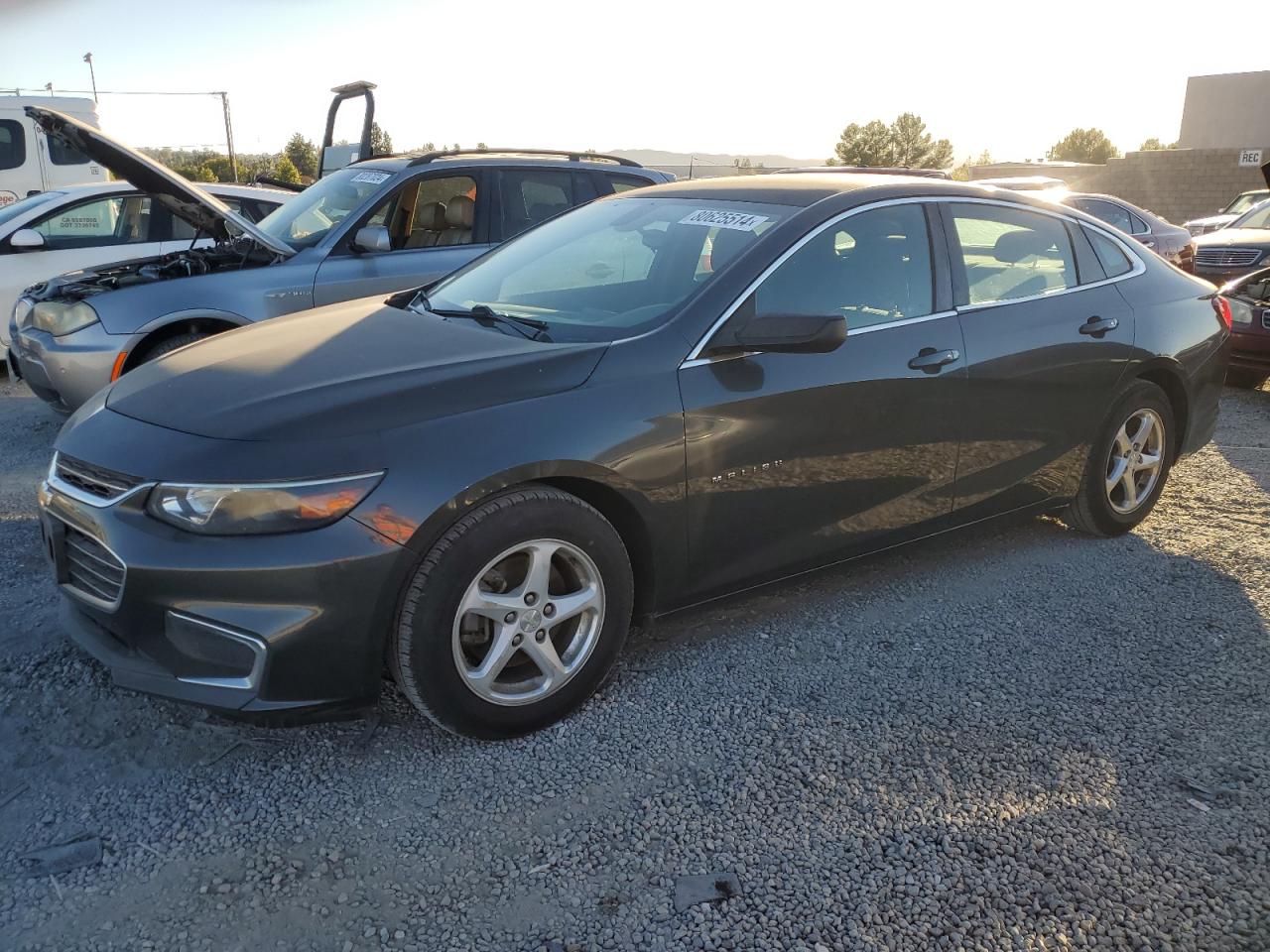 Chevrolet Malibu