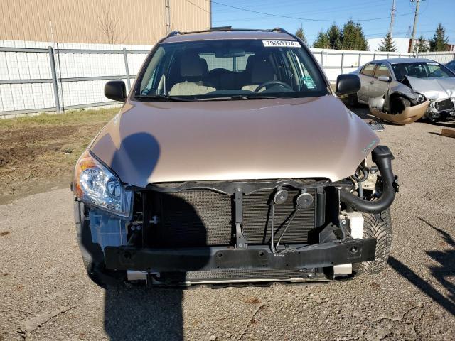 TOYOTA RAV4 2012 Колір засмаги