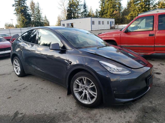  TESLA MODEL Y 2024 Серый