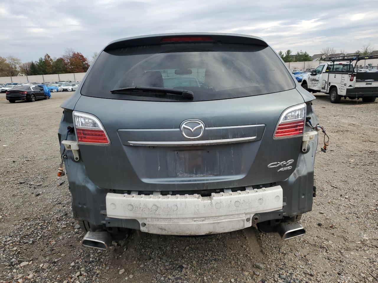 2010 Mazda Cx-9 VIN: JM3TB3MV5A0220290 Lot: 81287754