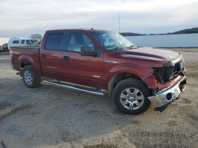 Пікапи FORD F-150 2014 Бордовий