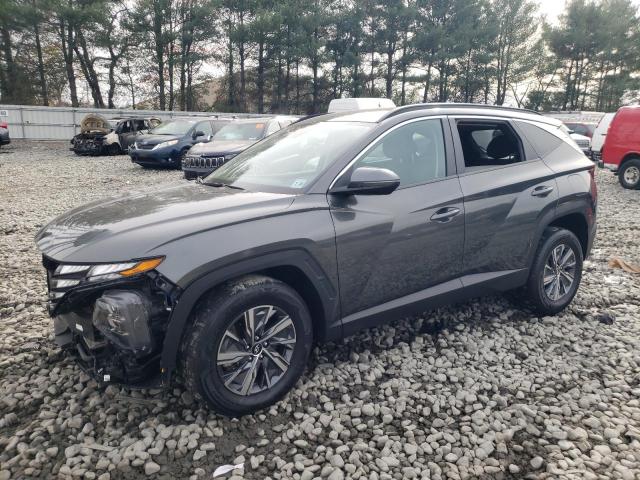 2022 Hyundai Tucson Blue