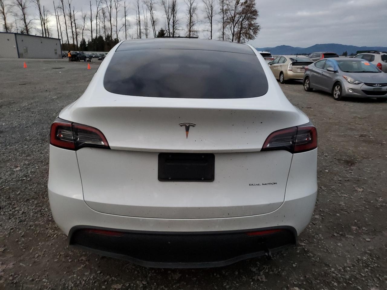 2023 Tesla Model Y VIN: 7SAYGAEE5PF741980 Lot: 79559114