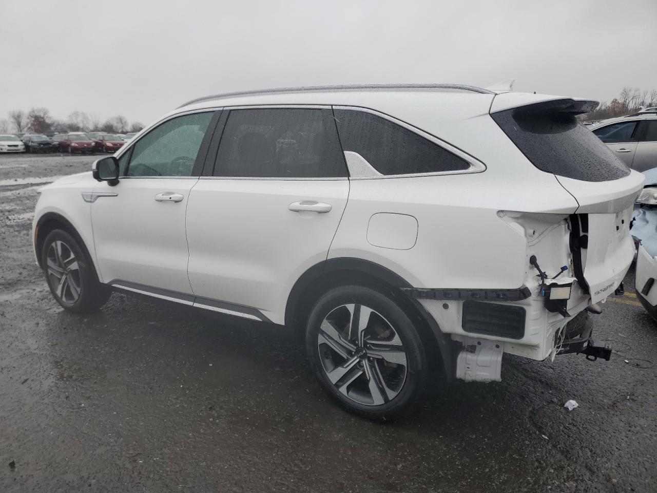 VIN KNDRMDLG4P5146779 2023 KIA SORENTO no.2