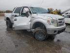 Albuquerque, NM에서 판매 중인 2014 Ford F150 Supercrew - All Over