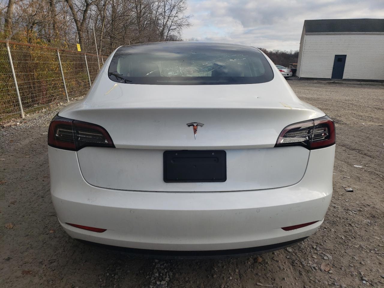 2020 Tesla Model 3 VIN: 5YJ3E1EA1LF785124 Lot: 79948434