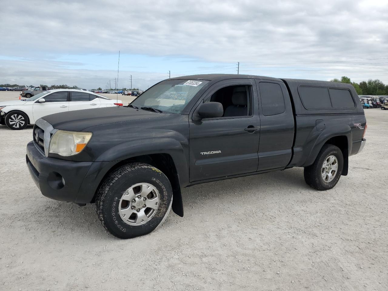 2006 Toyota Tacoma Access Cab VIN: 5TEUU42N16Z206068 Lot: 81053284