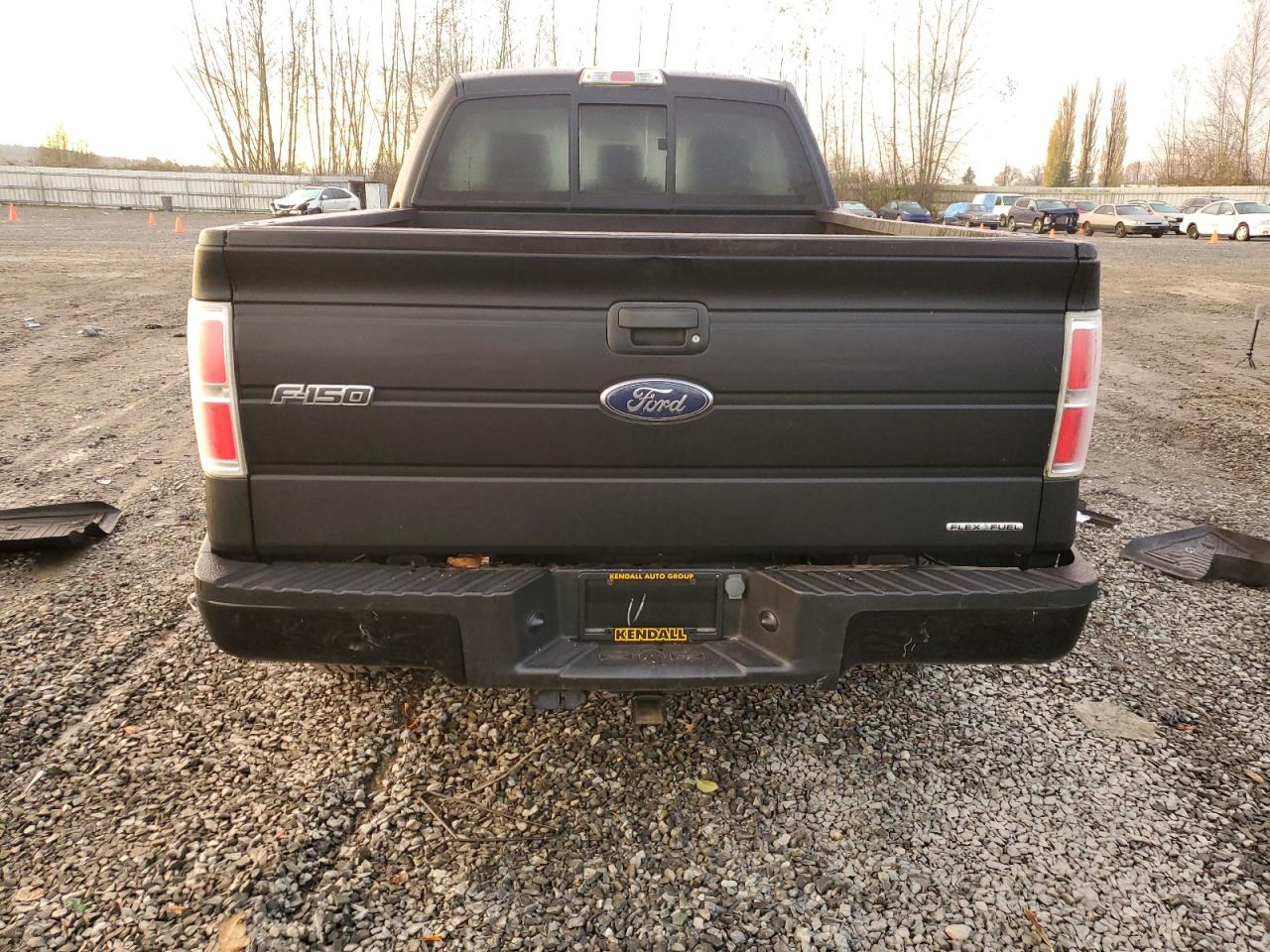 2014 Ford F150 VIN: 1FTMF1EF4EFC21592 Lot: 79848644