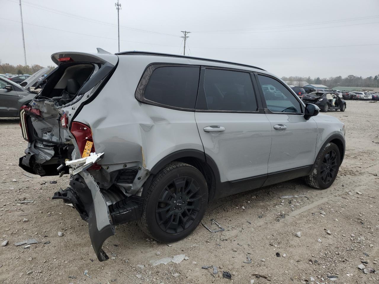 2022 Kia Telluride Sx VIN: 5XYP5DHC5NG233623 Lot: 80169394