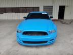 2014 Ford Mustang  zu verkaufen in Gaston, SC - All Over