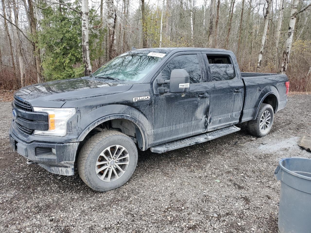 2019 Ford F-150 - Image 1
