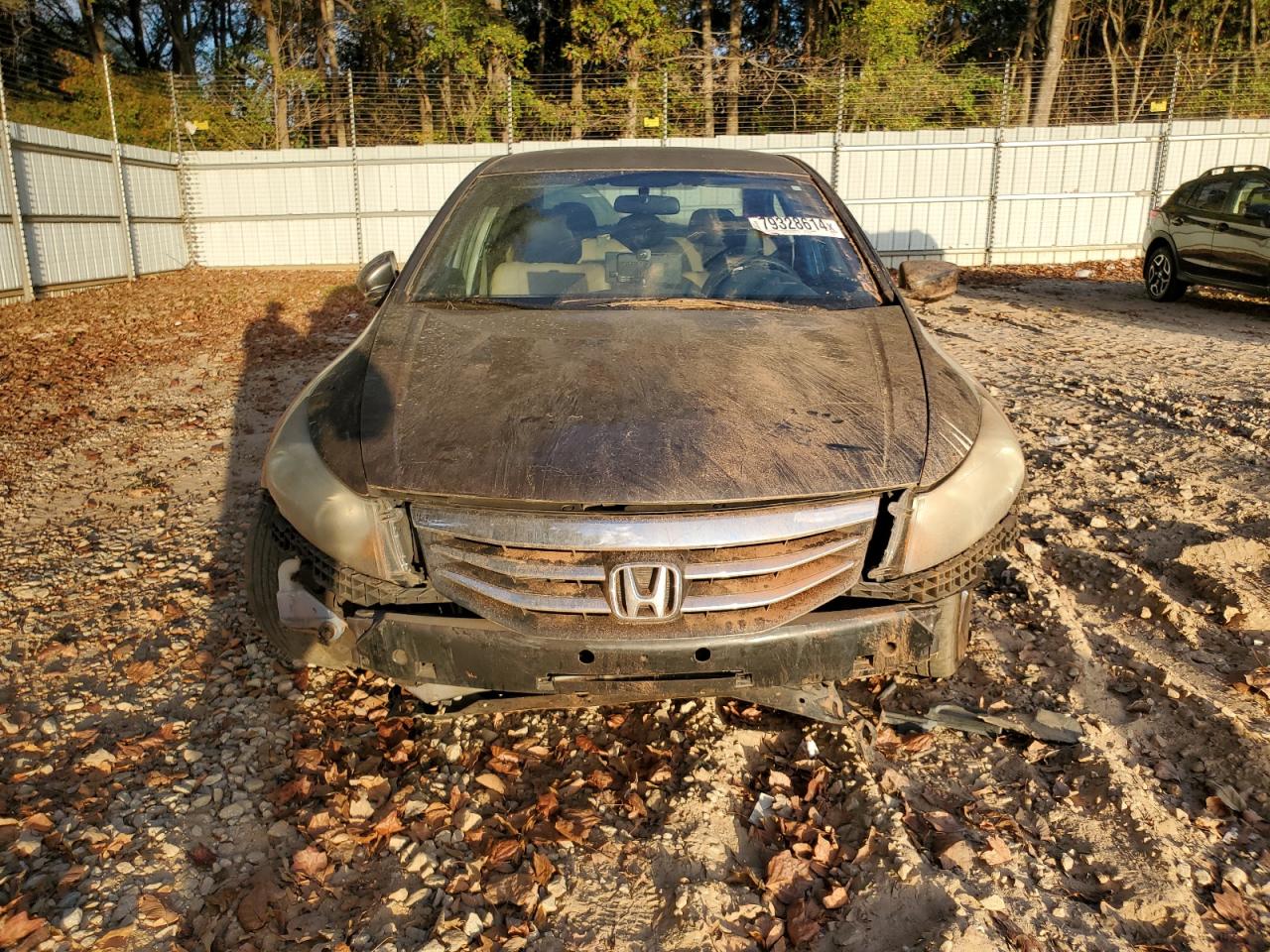 2012 Honda Accord - Image 5