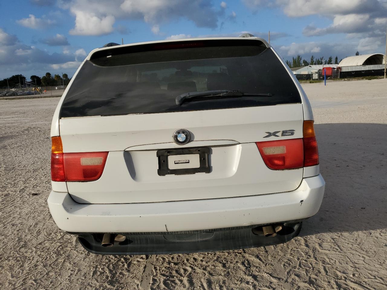 2003 BMW X5 3.0I VIN: 5UXFA53563LV94123 Lot: 80743444