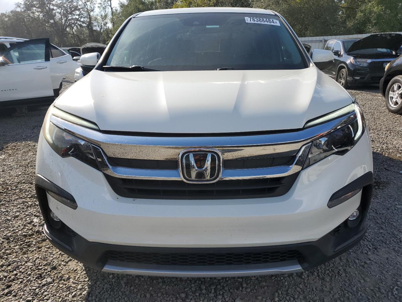 2019 Honda Pilot - Image 5