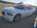 2013 Dodge Charger Se за продажба в San Antonio, TX - Rear End