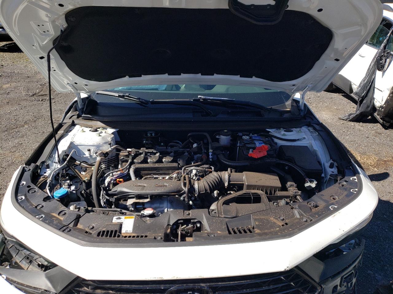 2024 Honda Accord - Image 11