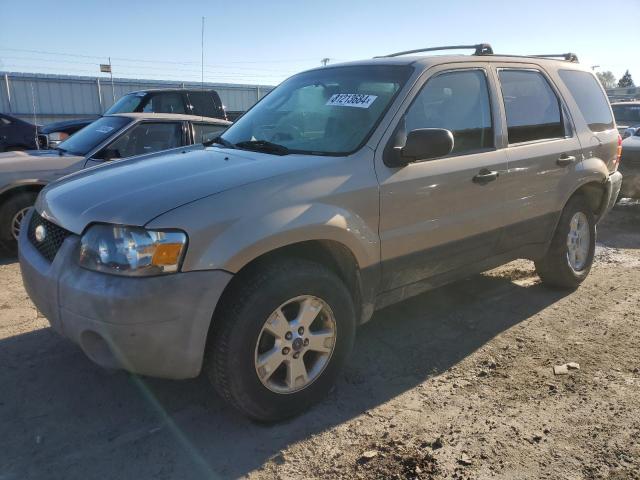 2007 Ford Escape Xlt