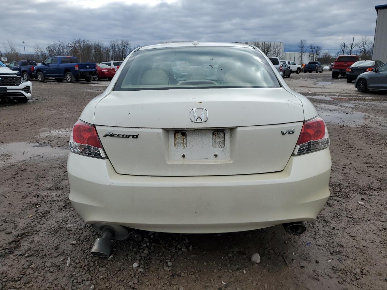 2010 Honda Accord Exl VIN: 1HGCP3F83AA000823 Lot: 80028424