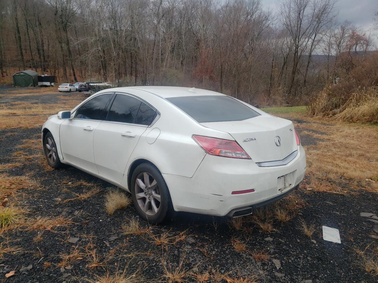 2014 Acura Tl VIN: 19UUA8F25EA003761 Lot: 82387204