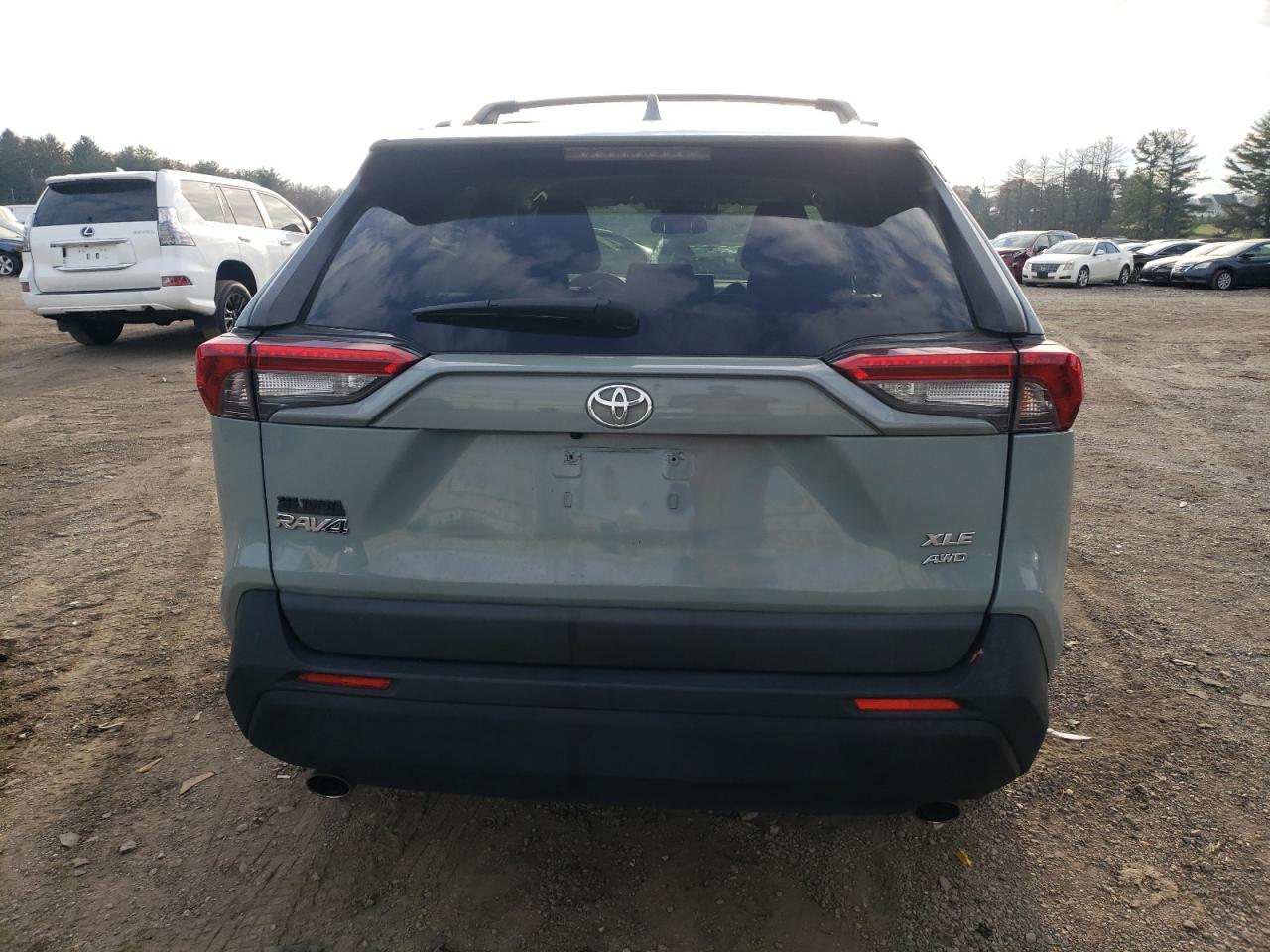 2020 Toyota Rav4 Xle VIN: JTMP1RFV1LD063219 Lot: 81332414