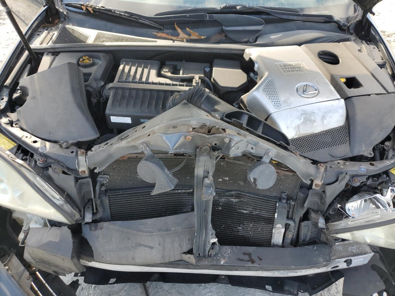 2007 Lexus RX - Image 13