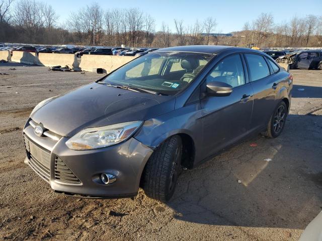  FORD FOCUS 2014 Gray