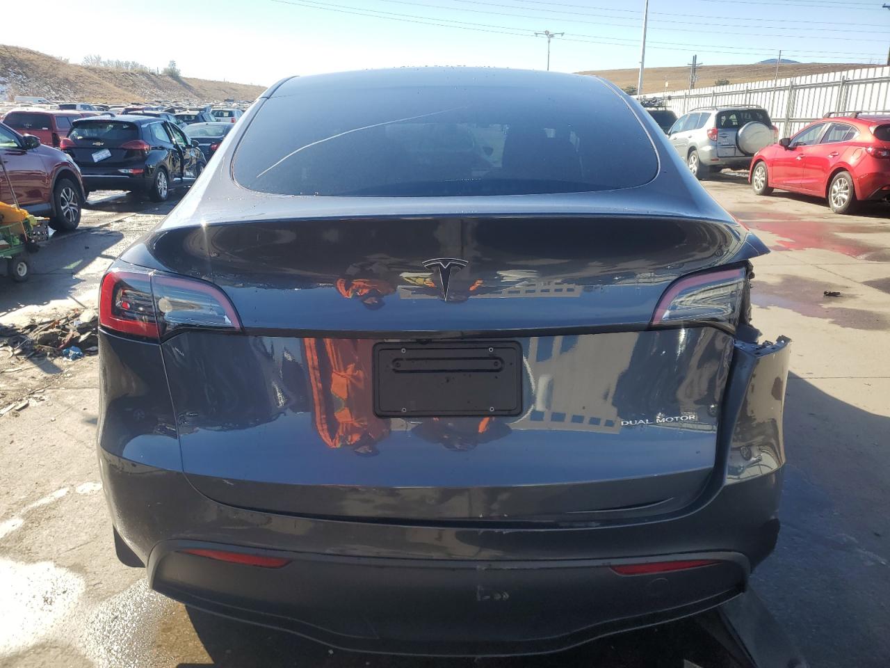 2023 Tesla Model Y VIN: 7SAYGDEEXPA206299 Lot: 81540504