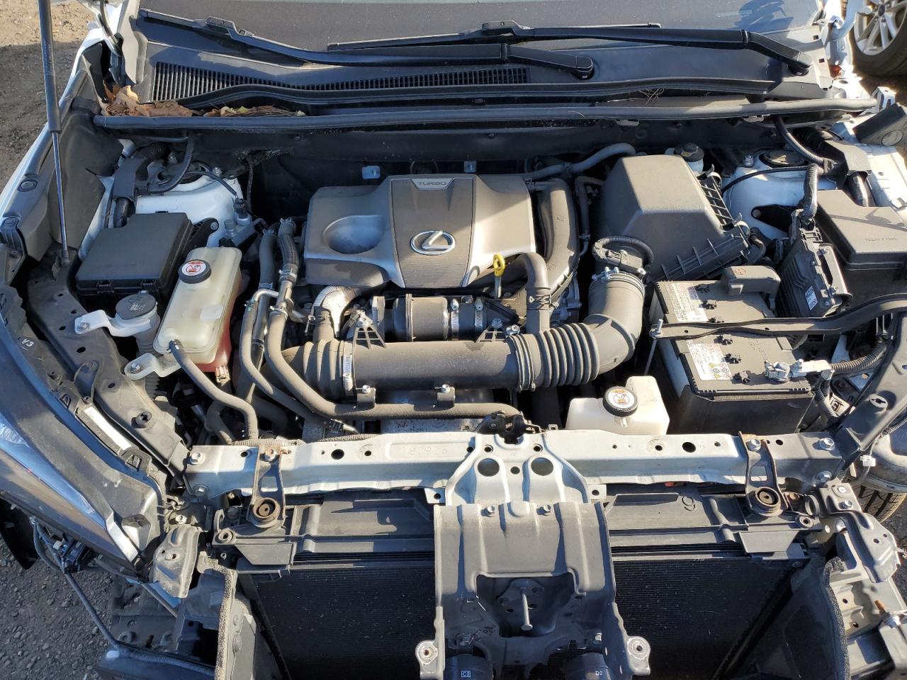 2019 Lexus NX - Image 11