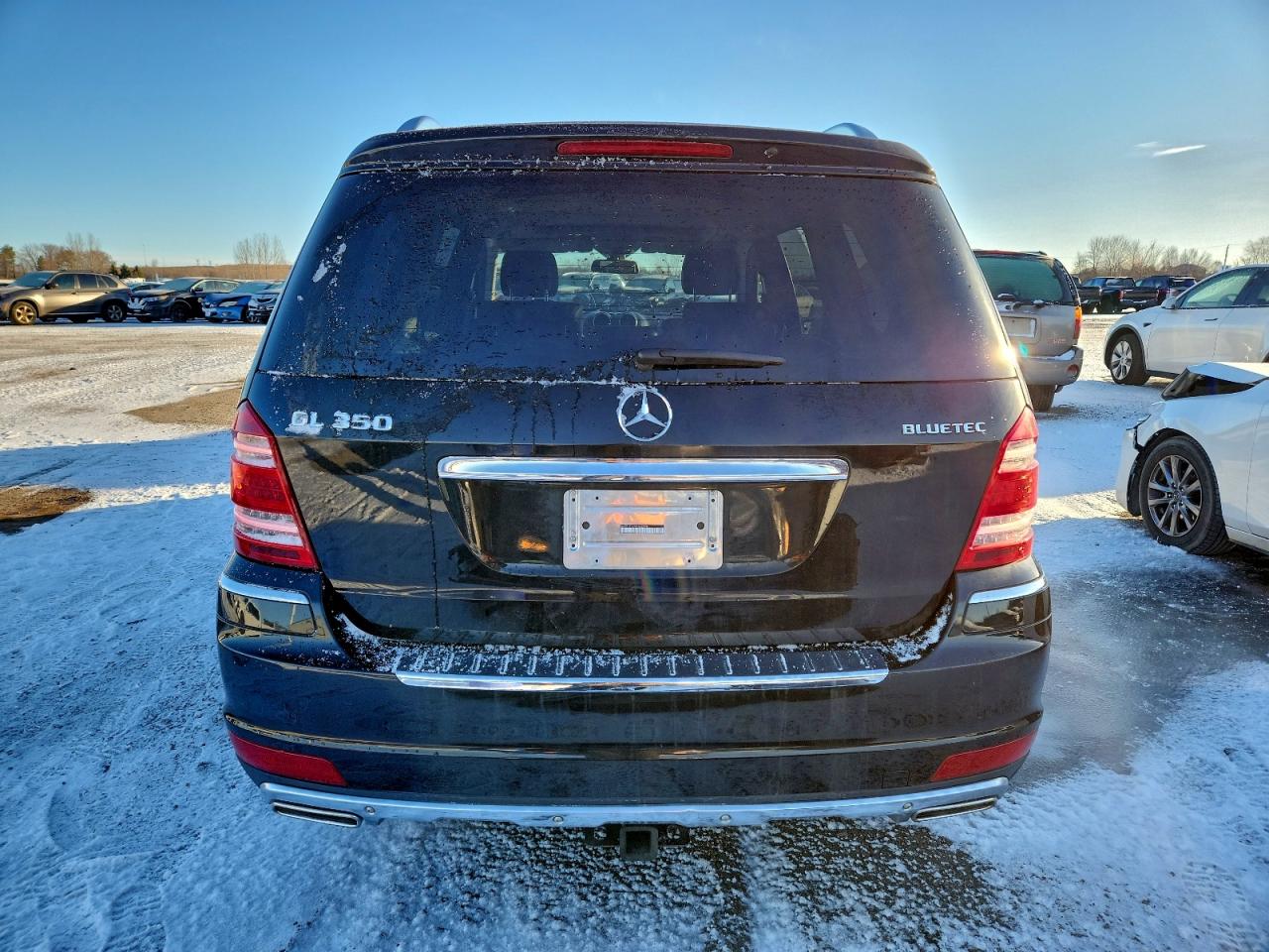 2010 Mercedes-Benz Gl 350 Bluetec VIN: 4JGBF2FEXAA622098 Lot: 91843905