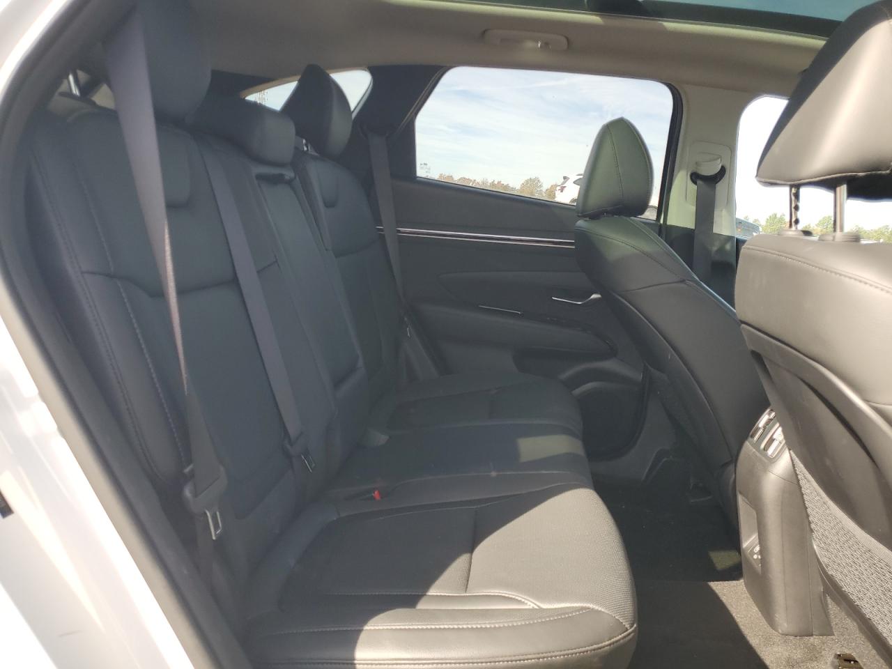 2023 Hyundai Tucson Limited VIN: 5NMJECAE7PH191623 Lot: 93229655