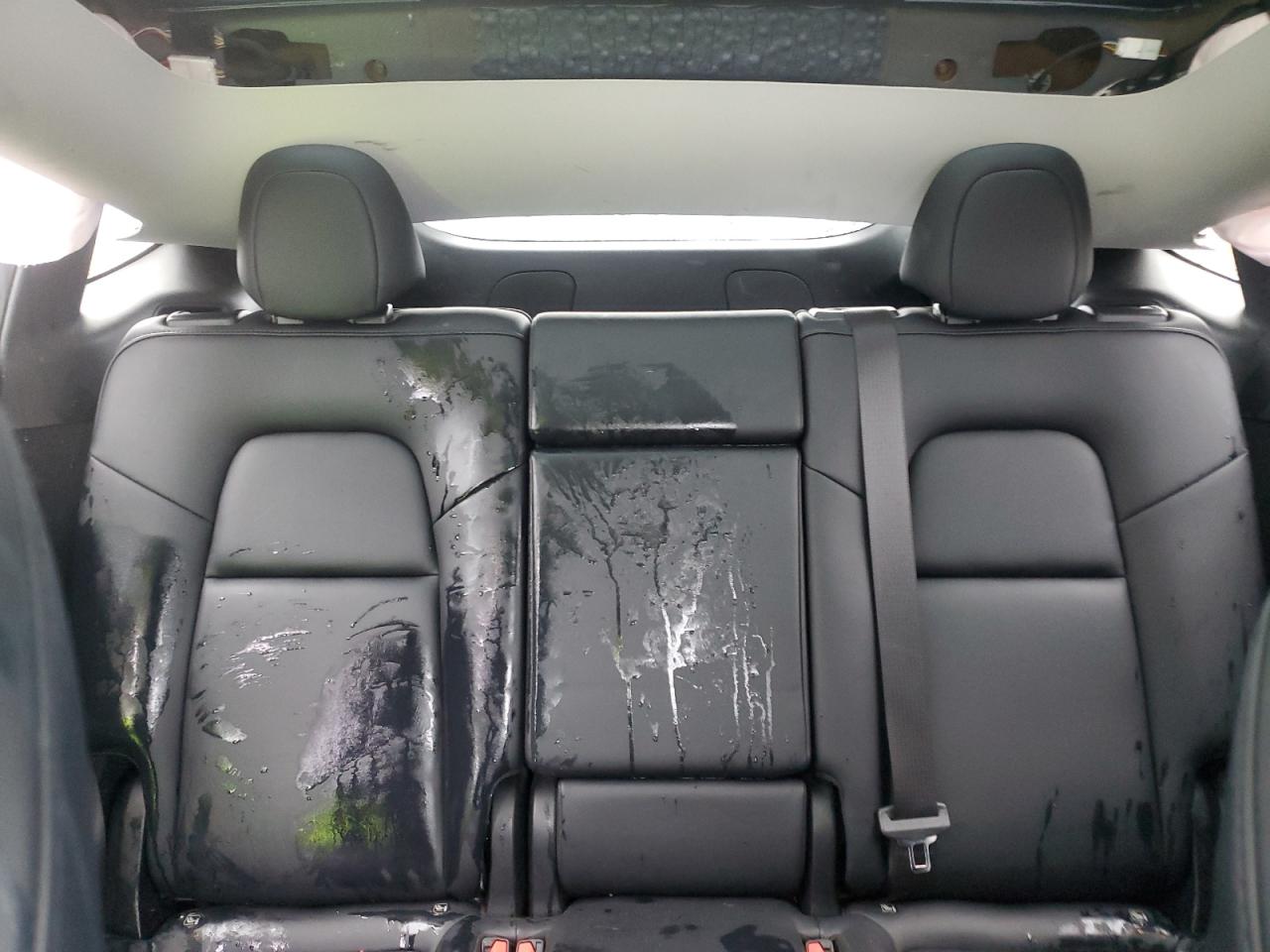 2023 Tesla Model Y VIN: 7SAYGDEEXPF876888 Lot: 92762225