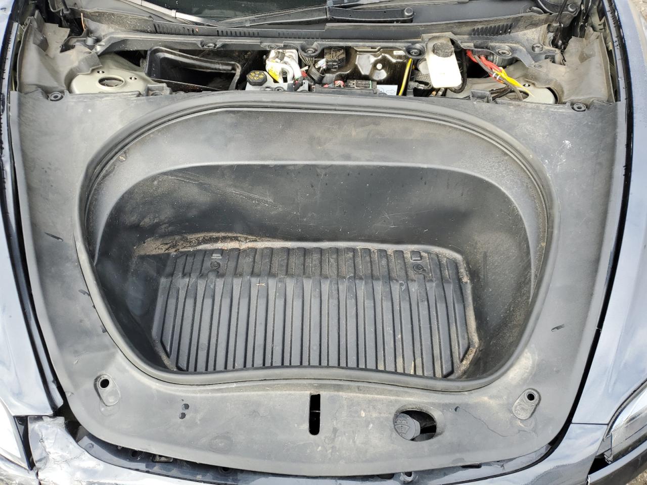 2024 Tesla Model 3 VIN: 5YJ3E1EA4RF865803 Lot: 93693935