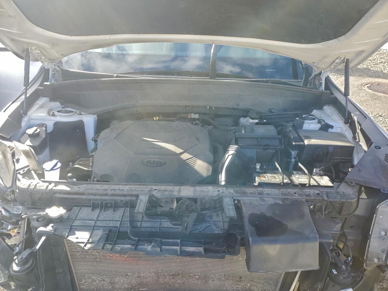 2021 Kia Telluride Ex VIN: 5XYP3DHC2MG181078 Lot: 93896245