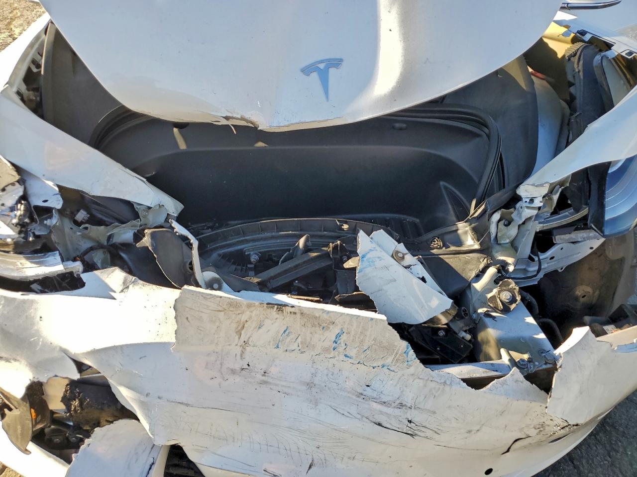 2020 Tesla Model 3 VIN: 5YJ3E1EA7LF806509 Lot: 94577635