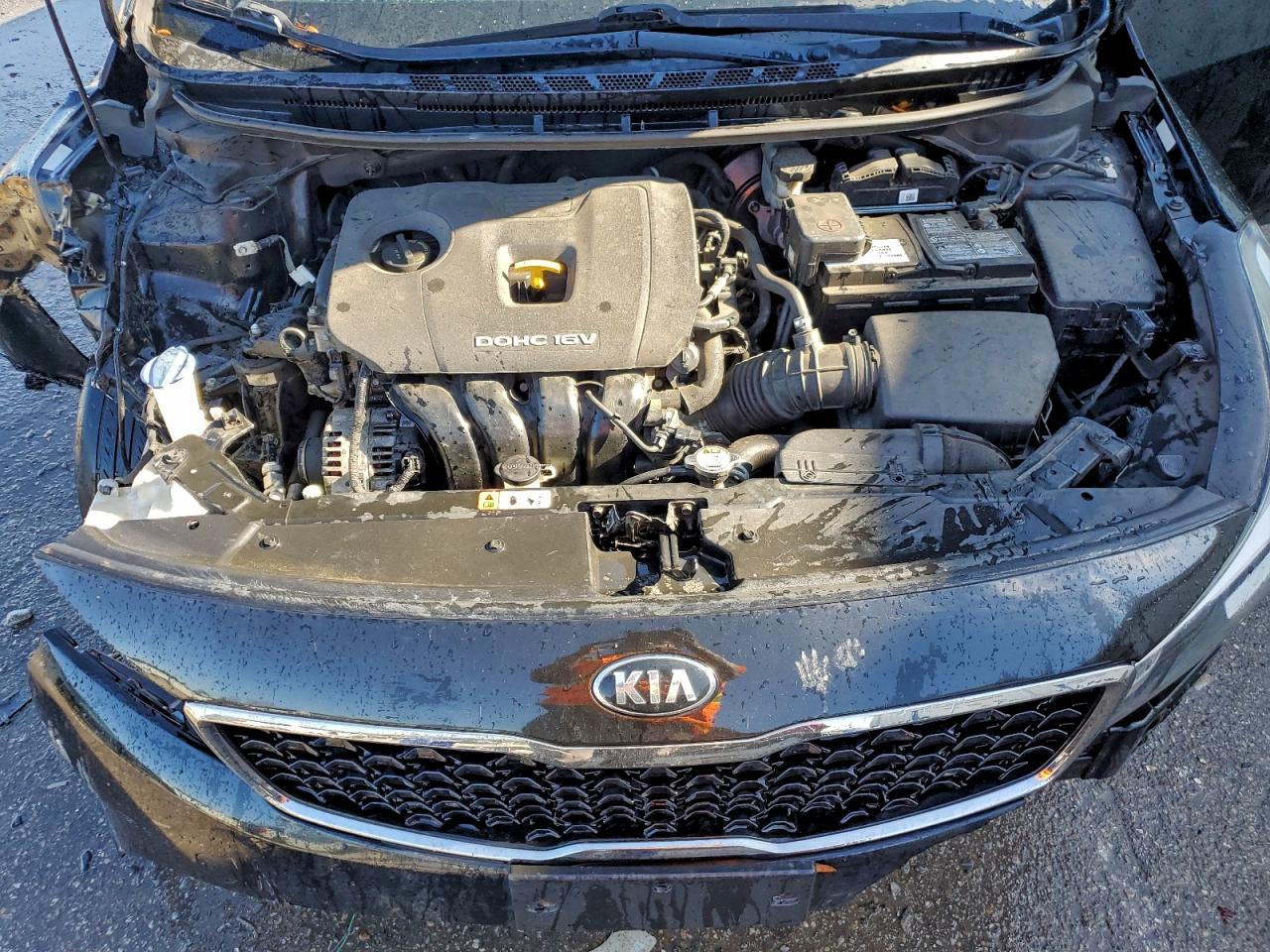 2017 Kia Forte Lx VIN: 3KPFL4A77HE092618 Lot: 93963985