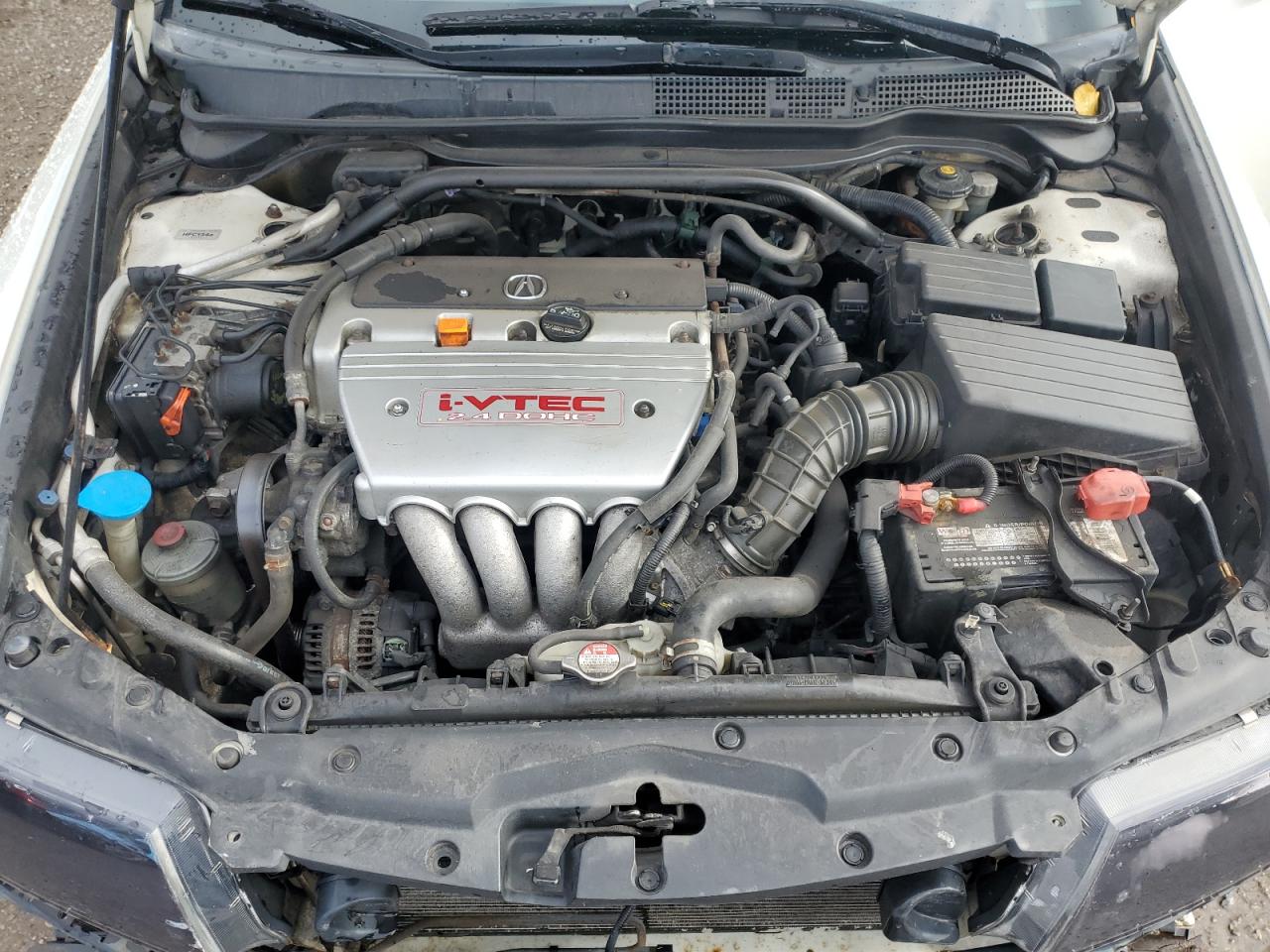 2004 Acura Tsx VIN: JH4CL95864C806533 Lot: 90709625