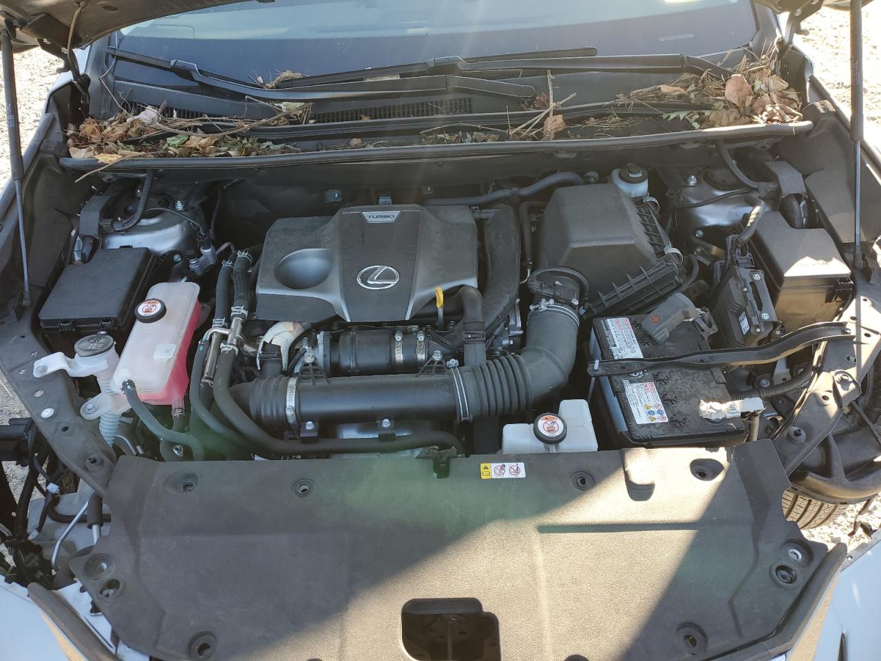 2021 Lexus Nx 300 Base VIN: JTJDARDZ9M2263624 Lot: 92130515