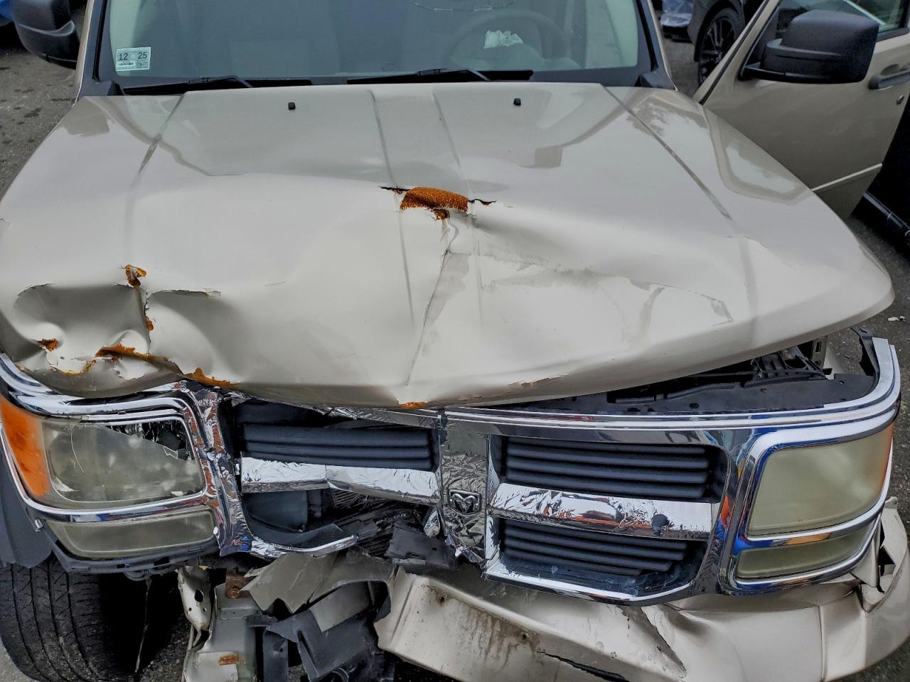 2010 Dodge Nitro Se VIN: 1D4PU2GK1AW114807 Lot: 92442365