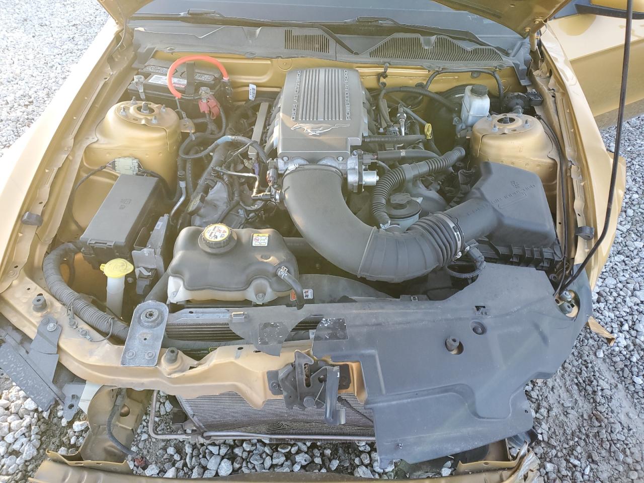 2010 Ford Mustang Gt VIN: 1ZVBP8CHXA5136254 Lot: 92683775