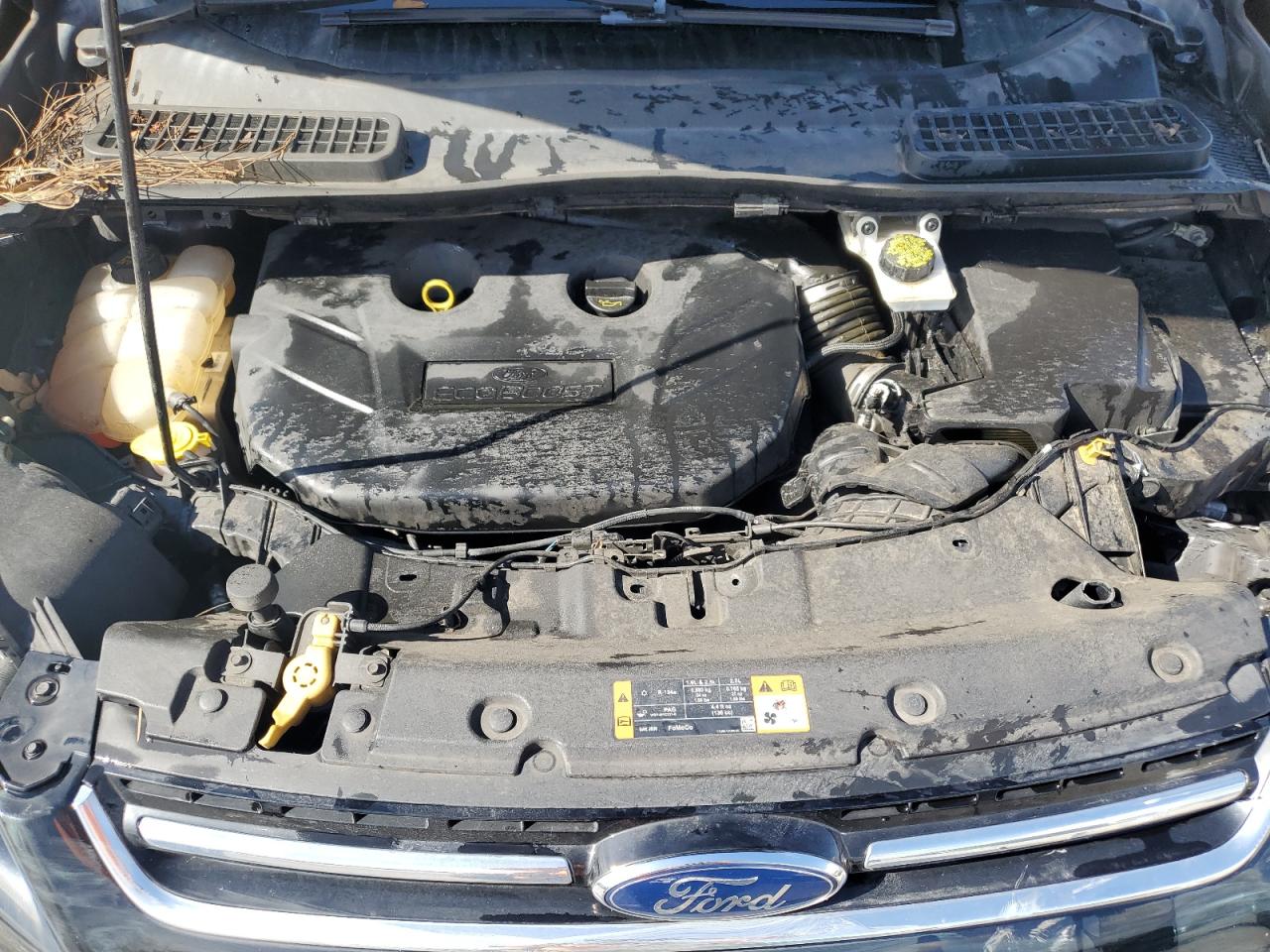 2016 Ford Escape Titanium VIN: 1FMCU0J91GUA36003 Lot: 91569055