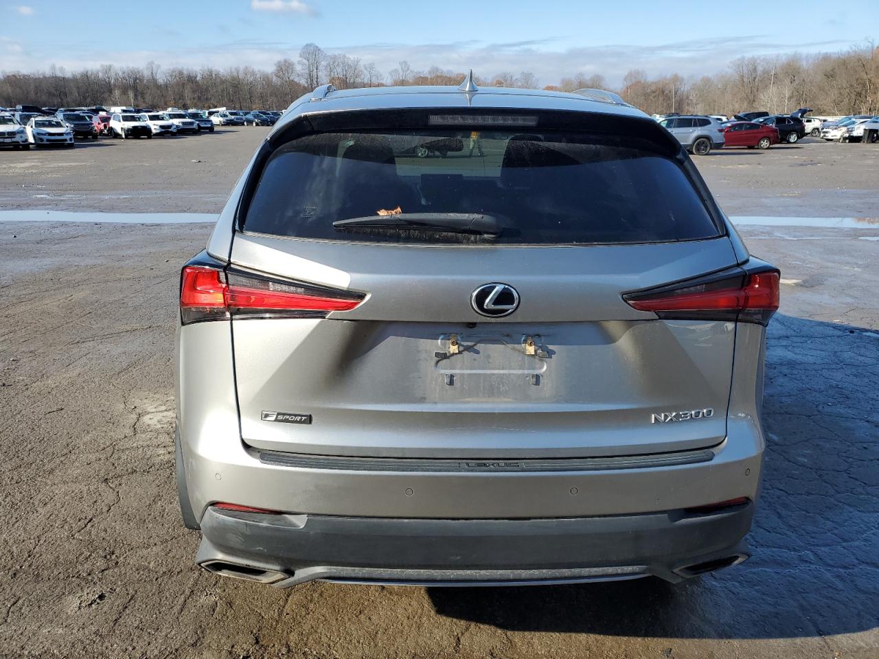 2020 Lexus Nx 300 F Sport VIN: JTJSARDZ7L2234726 Lot: 93426615