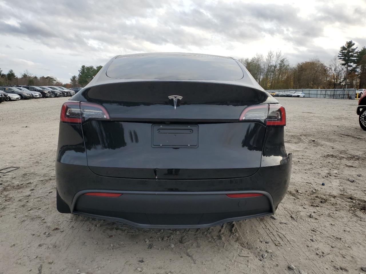 2024 Tesla Model Y VIN: 7SAYGDED4RF191134 Lot: 91867285