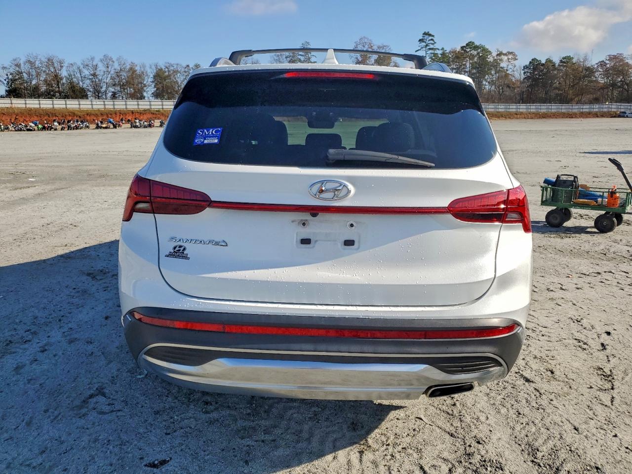 2021 Hyundai Santa Fe Sel VIN: 5NMS64AJ3MH360682 Lot: 94221675