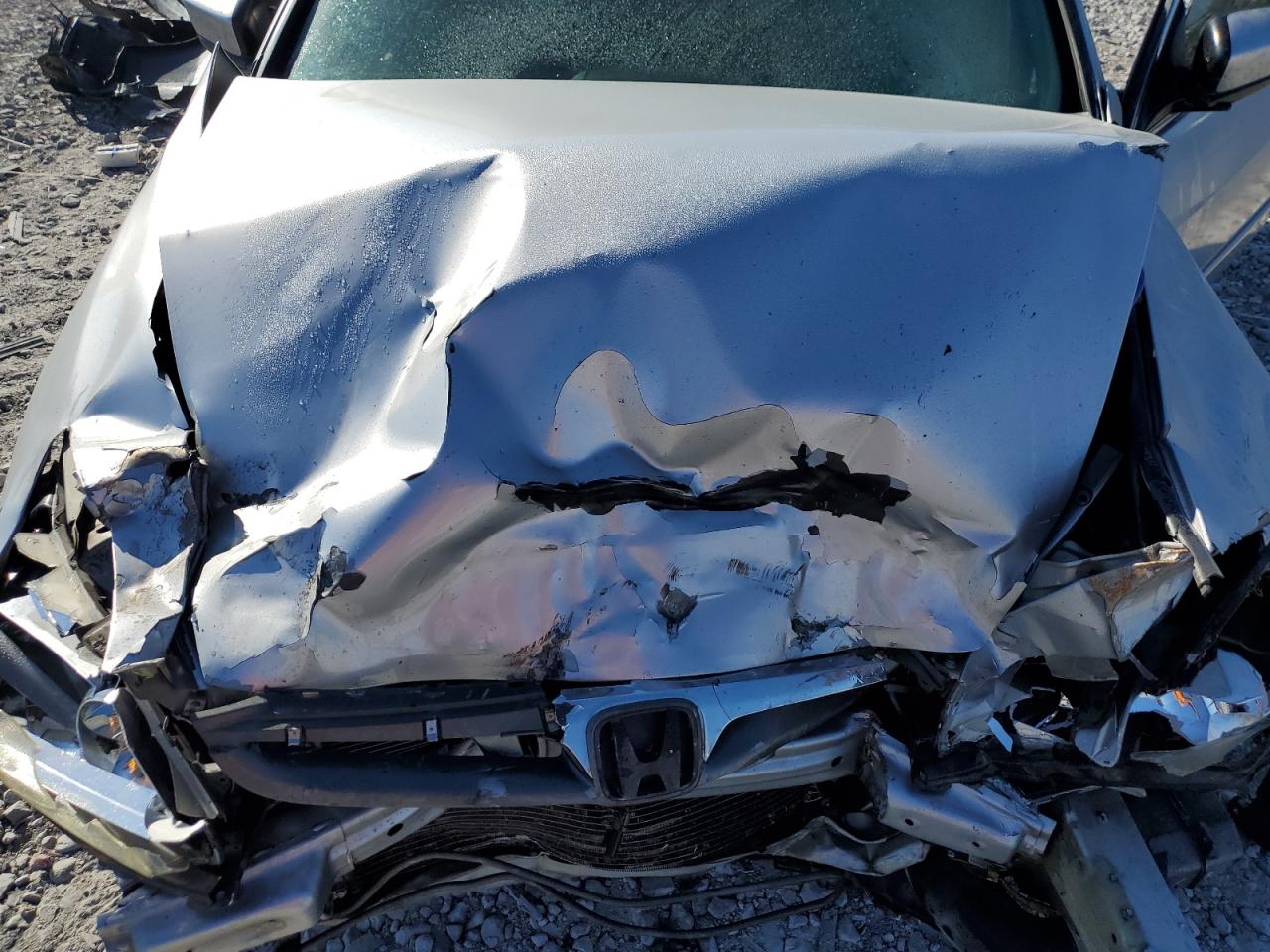 2007 Honda Accord Ex VIN: 1HGCM66597A013648 Lot: 92371945