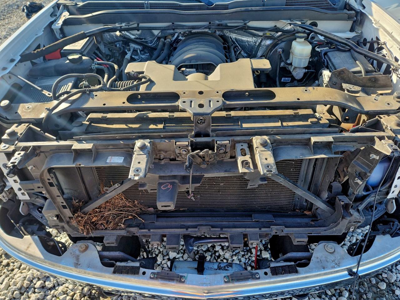 2015 Chevrolet Silverado C1500 Lt VIN: 3GCPCREC1FG407780 Lot: 94170675