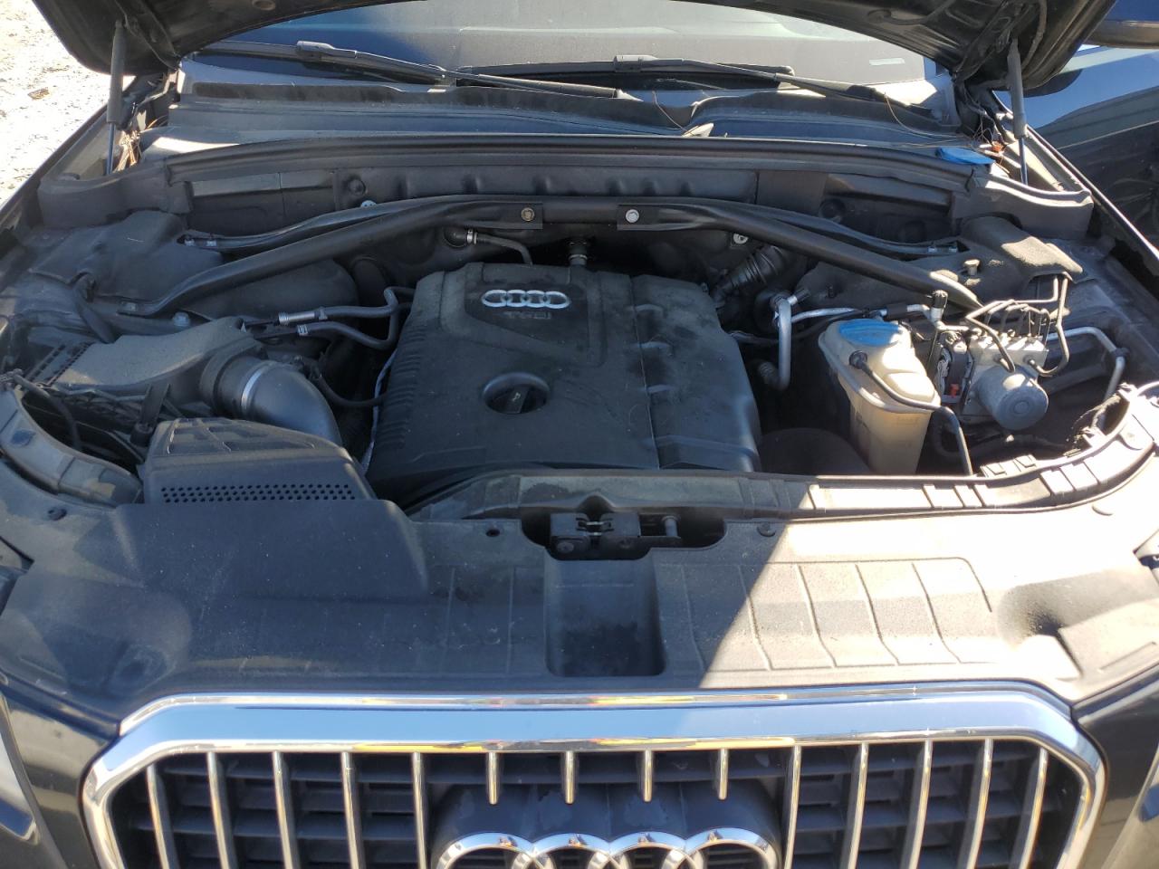 2013 Audi Q5 Premium Plus VIN: WA1LFAFP6DA093817 Lot: 90076235