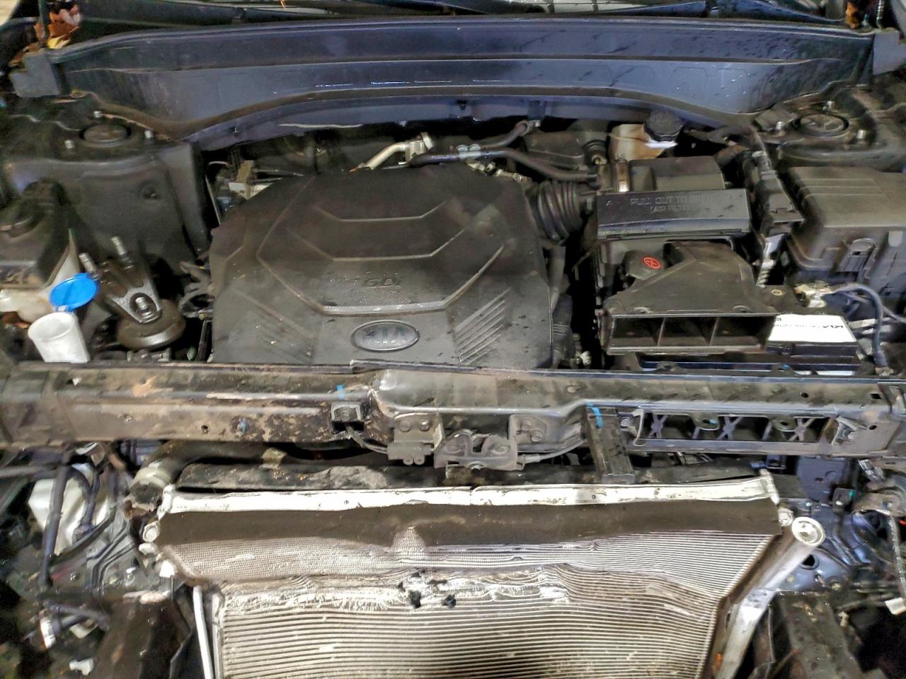 2021 Kia Telluride Lx VIN: 5XYP2DHCXMG097755 Lot: 93486175