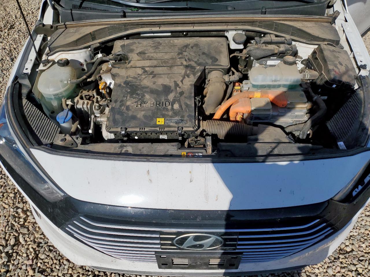 2019 Hyundai Ioniq Sel VIN: KMHC75LC4KU106776 Lot: 91595075