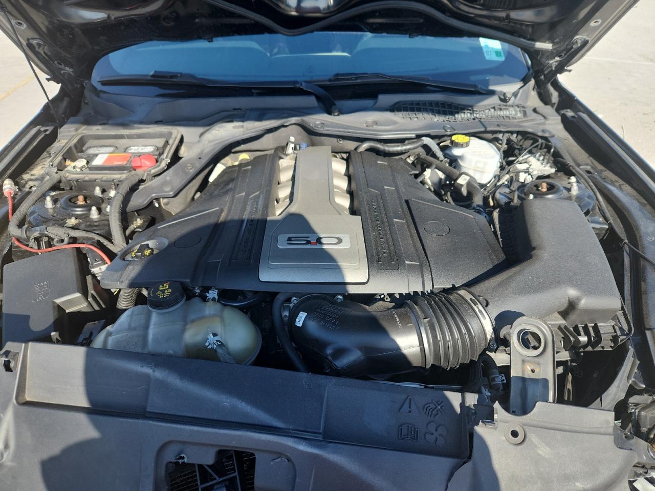 2019 Ford Mustang Gt VIN: 1FA6P8CF1K5129431 Lot: 92586285