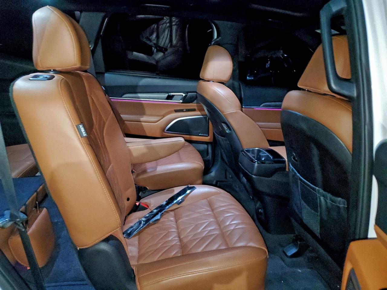 2024 Kia Telluride Sx VIN: 5XYP5DGC6RG499031 Lot: 95015195